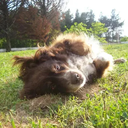 Paradise Comfortable Apartament