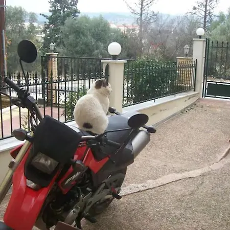 Paradise Comfortable شقة *