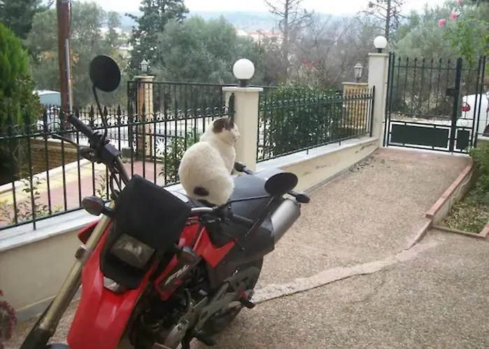 Paradise Comfortable Appartement *